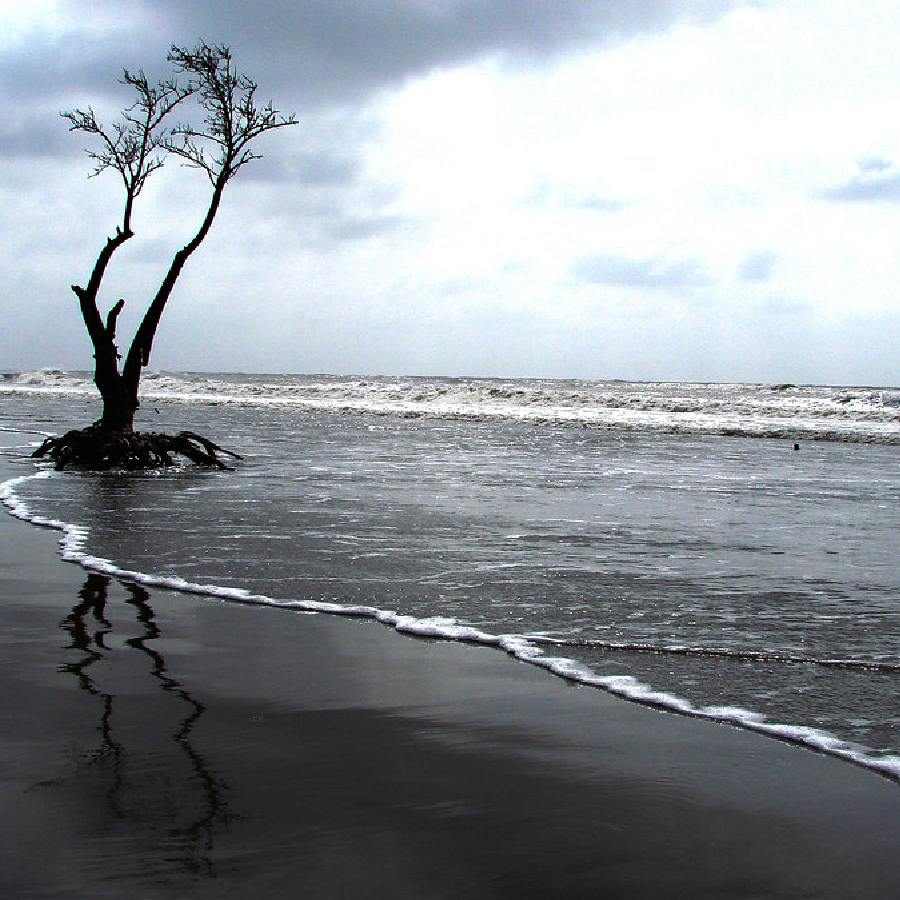 Three destinations near Kolkata for exploring the jungle, beach, and mountains dgtl