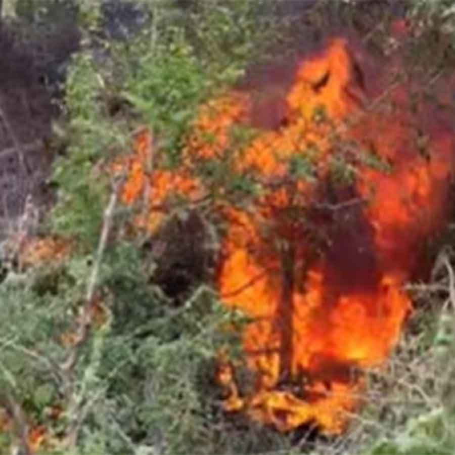 Several dead as car caught flame after collision with SUV in Gujarat dgtl