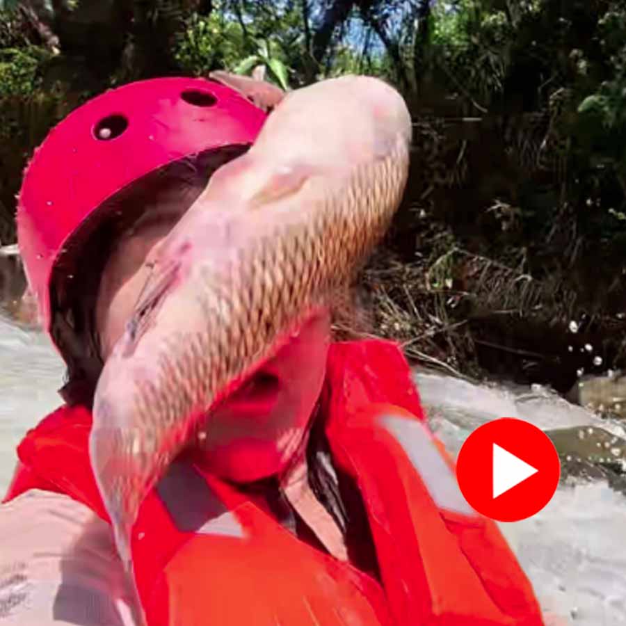 Video of woman hit by fish amid water rafting in Malaysia goes viral dgtl