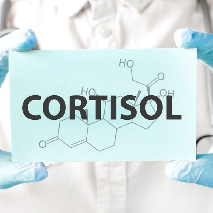 Tulsi plant can lower you cortisol hormone in your body dgtl