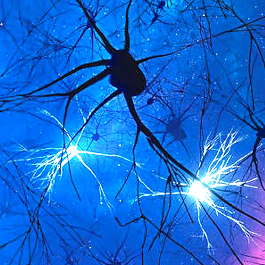 Science found what in 1 cubic mm of brain tissue