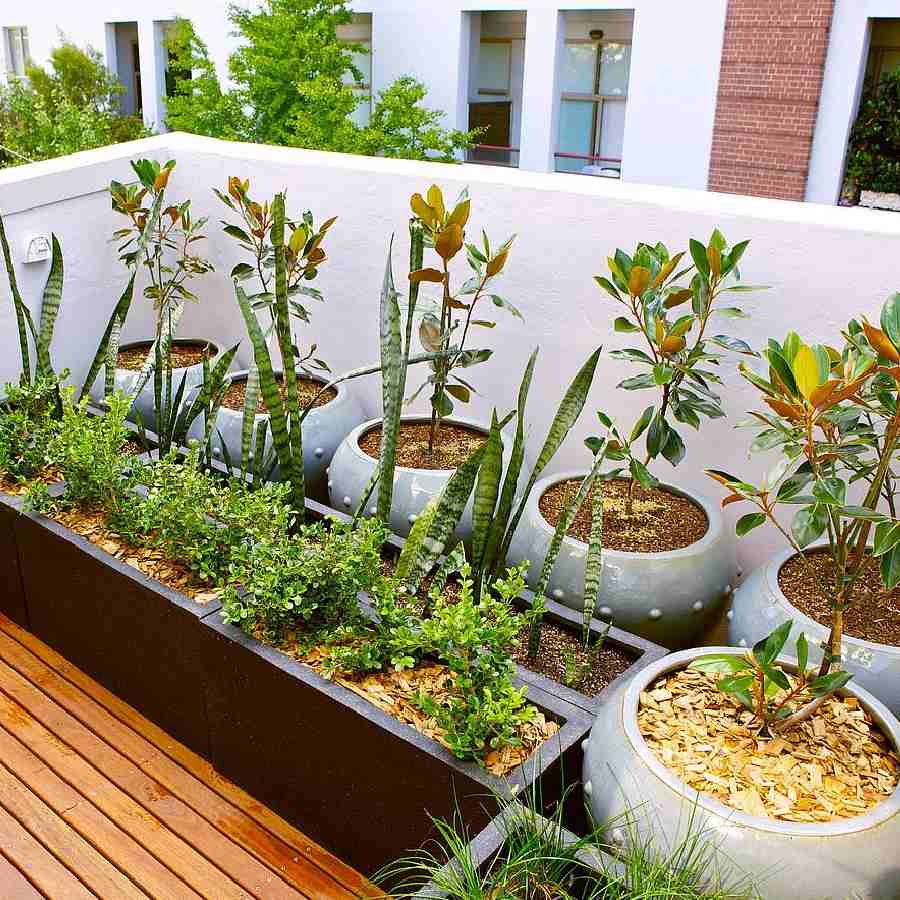 ছবি: সংগৃহীত।