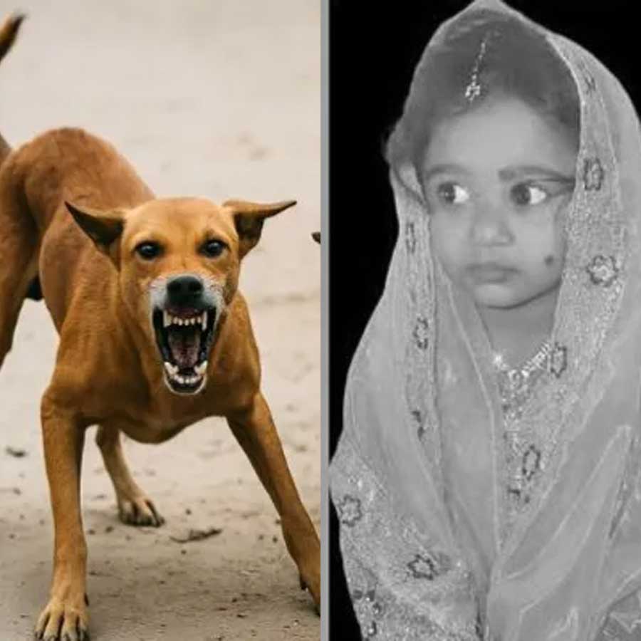 Girl died of rabies after she was attacked by stray dogs in Bengaluru dgtl