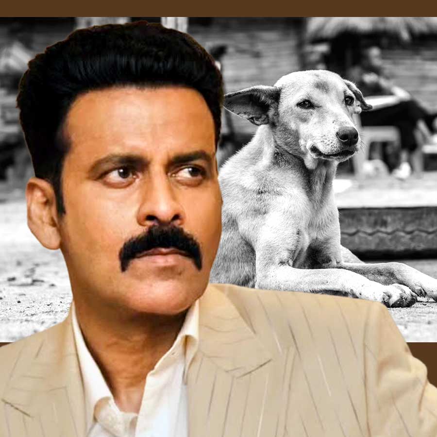 Actor Manoj Bajpayee shares his views on Supreme Court’s verdict on stray dogs dgtl