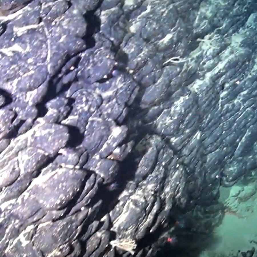 এই মাটির স্বতন্ত্র খনিজ গঠন শুধুমাত্র গ্রীষ্মমণ্ডলীয় অঞ্চলের তাপ, আর্দ্রতা ও খোলা বাতাসের সংস্পর্শের মাধ্যমে তৈরি হতে পারে। ধারাবাহিক গবেষণাটির সর্বশেষ ঘটনা ইঙ্গিত দেয় যে ব্রাজিলের উপকূল থেকে ১,২০০ কিলোমিটার দূরে সমুদ্রের এই অংশটি কোটি কোটি বছর আগে একটি দ্বীপ ছিল। এই লাল কাদামাটিতে কাওলিনাইট, হেমাটাইট এবং গোয়েথাইট জাতীয় খনিজের হদিস পাওয়া গিয়েছে।