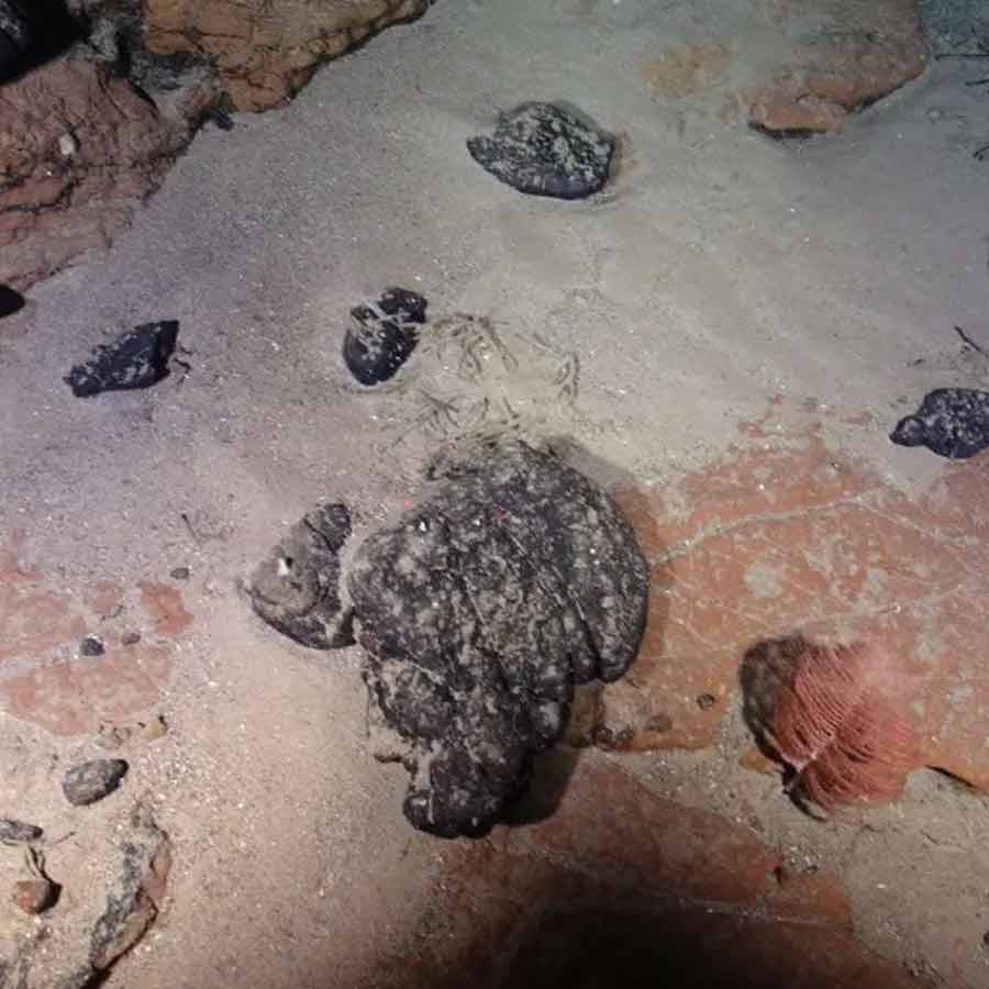 এই ধরনের খনিজের জন্মই হয় উষ্ণ ও আর্দ্র অঞ্চলের দীর্ঘমেয়াদি রাসায়নিক আবহবিকারের কারণে। আগ্নেয়গিরির শিলা দীর্ঘ সময় ধরে বাতাস এবং বৃষ্টির সংস্পর্শে আসার ফলে খনিজ উৎপন্ন হয়। এই খনিজ পদার্থগুলির মধ্যে থাকা কাওলিনাইট প্রসাধনী দ্রব্য, কাগজ, ওষুধ শিল্পে ব্যবহার হয়।