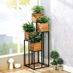 ঘর সাজানোর জন্য ‘ইন্ডোর প্ল্যান্ট’ও দারুণ উপকরণ।  এই প্রতিবেদনটি ‘আনন্দ উৎসব’ ফিচারের একটি অংশ।