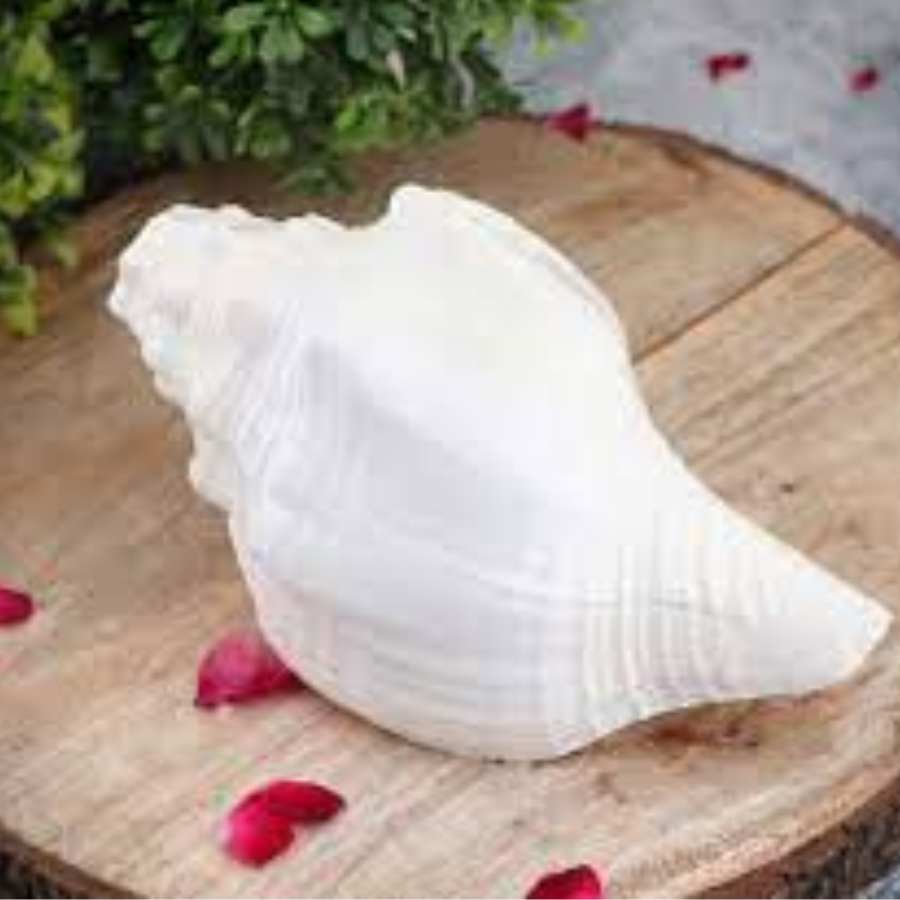 শঙ্খ - হিন্দু শাস্ত্র মতে, শঙ্খের ধ্বনি অশুভের বিনাশ ঘটায় এবং যা কিছু শুভ, তাকে আহ্বান করে। দেবী দুর্গাকে শঙ্খ প্রদান করেছিলেন বরুণদেব।   (এই প্রতিবেদনটি ‘আনন্দ উৎসব’ ফিচারের একটি অংশ)।