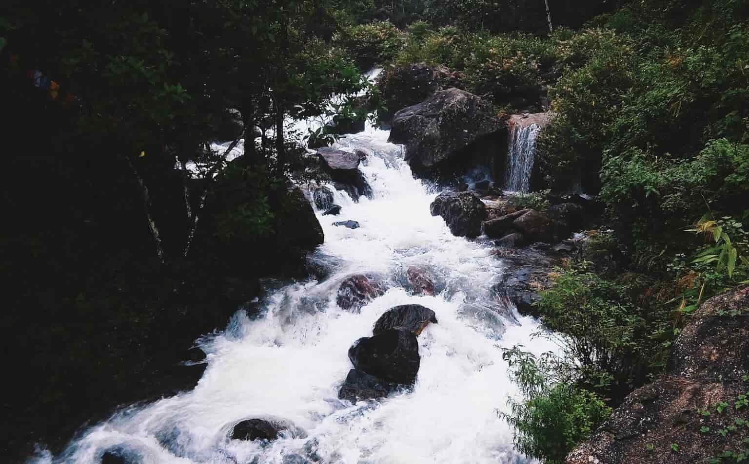 মাজুয়া: দার্জিলিং থেকে ঢিল ছোঁড়া দূরত্বে অবস্থিত এই জায়গাটি। মানেভঞ্জন থেকে আধ ঘণ্টা লাগে রঙ্গিত নদীর পাশে অবস্থিত সবুজে ঘেরা মাজুয়ায় পৌঁছোতে। জঙ্গলের মাঝে গুটিকয় বাড়ি নিয়ে এই পাহাড়ি গ্রাম। পাশ দিয়ে বয়ে চলেছে খরস্রোতা রঙ্গিত, যেখানে বসে ঘণ্টার পর ঘণ্টা কাটানো যায়। চাইলে গাড়ি নিয়ে ঘুরে আসা যায় পশ্চিমবঙ্গের সবথেকে উঁচু জায়গা সান্দাকফু থেকে, পথে পড়বে টুংলু, টুমলিং। কাঞ্চনজঙ্ঘা তো বটেই, ভাগ্য ভালো থাকলে দেখা মিলতে পারে এভারেস্টেরও। থাকার জন্য হাজার দেড়েকের মধ্যে পেয়ে যাবেন একাধিক হোমস্টে। 