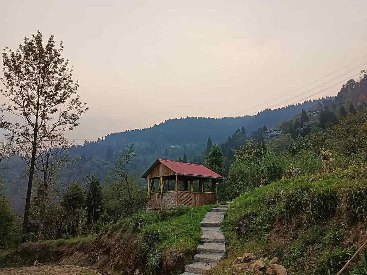 রংভং: পাইন বনের সারি, গভীর জঙ্গলের বুক চিরে প্রায় না থাকা পথ নেমে গিয়েছে এই ছোট্ট পাহাড়ি গ্রামে। ঘরে বসে জানলা খুললে বা পর্দা সরালেই দেখা মিলবে মিরিক, শিলিগুড়ির অপরূপ ভিউ। অষ্টমীর সকালে অঞ্জলির বদলে চায়ের কাপ হাতে এরকম একটা ভিউয়ের সকালও কিন্তু মন্দ নয়! এখানে এলে পায়ে হেঁটে ঘুরে নিতে পারেন কাছের চা বাগান, নইলে একটু ট্রেক করে পৌঁছে যেতে পারেন ছোট্ট ঝোরায়। সেদিনের স্নান নাহয় এখানেই সেরে নিলেন! থাকার জন্য অপশন বেশি নেই, তবে ২-৩ হোমস্টে পেয়েই যাবেন। 