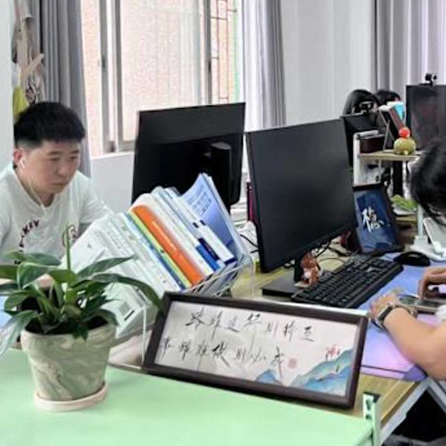 Pretend to work trend China