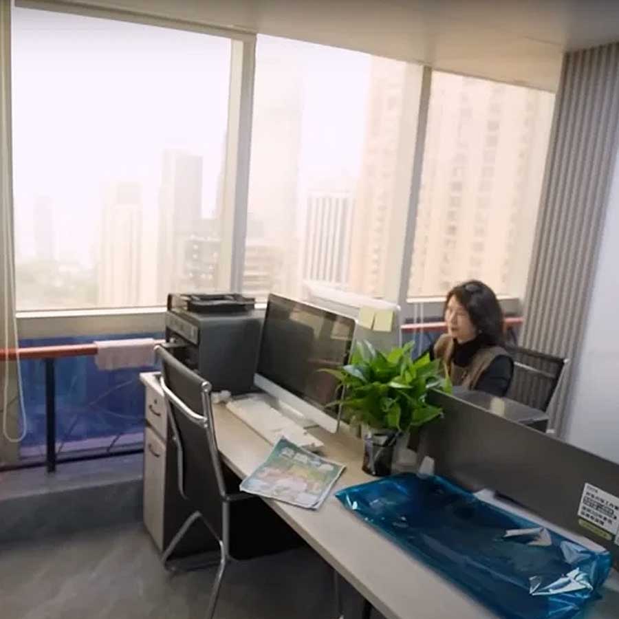 Pretend to work trend China