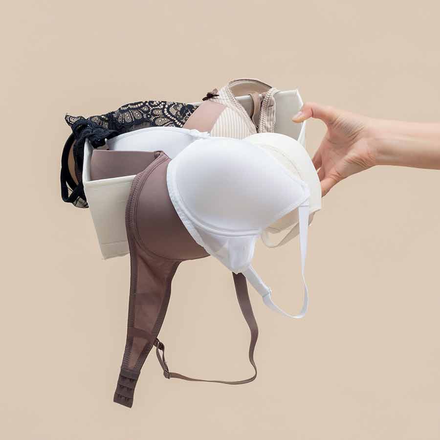 ‘Leonardo Da Pinchy’ the mischievous cat steals underwear from neighbourhood in New Zealand dgtl