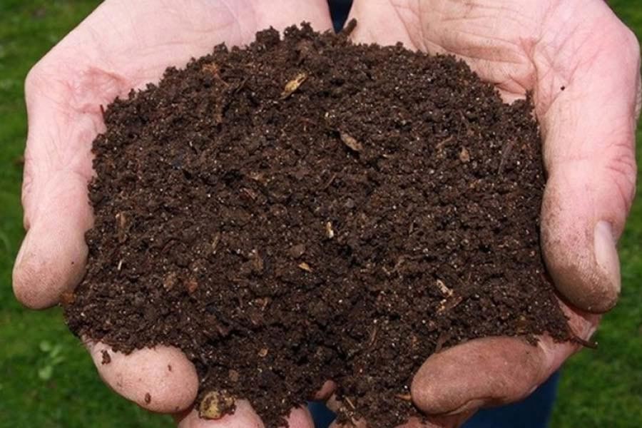 India China ties become stronger amid US President Donald Trump’s tariff, know its benefits 