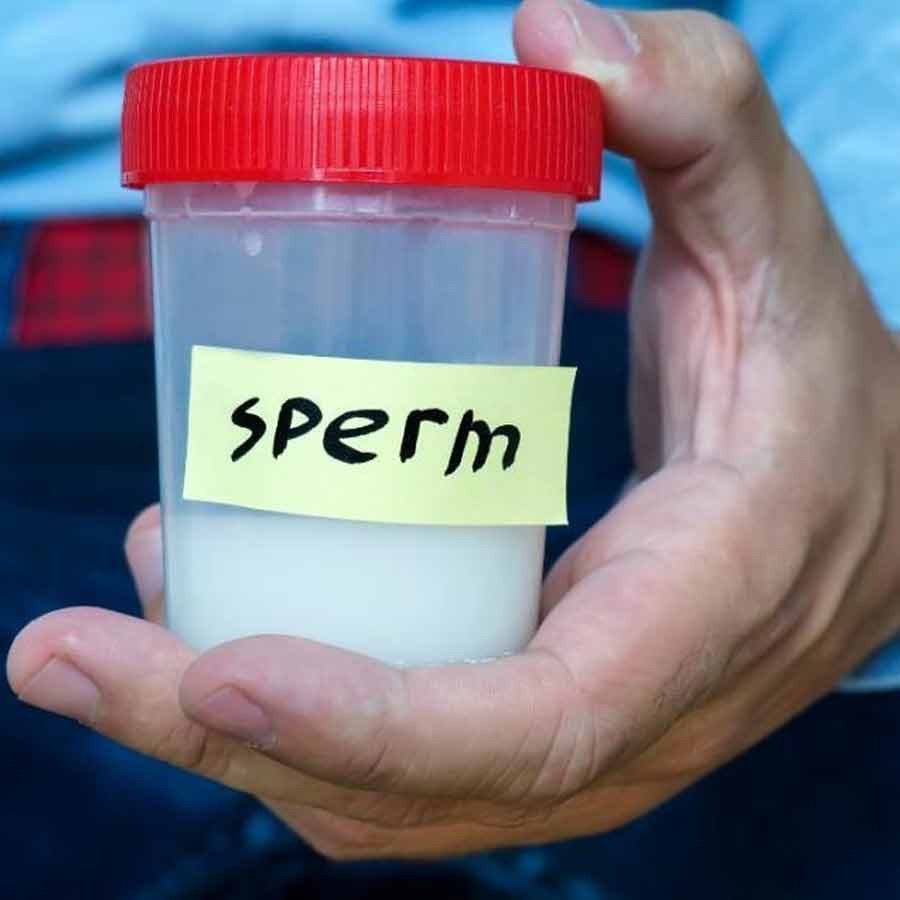 Xonanda Adelning porno video