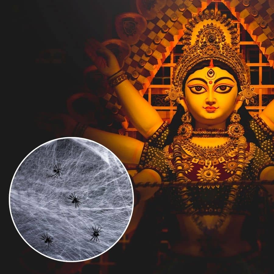 Why one should not clean spider webs during durga puja dgtl