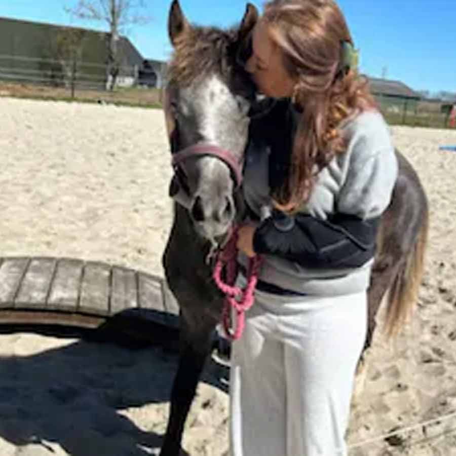 Mother donated her daughter’s pet ponny to Zoo, what happened next