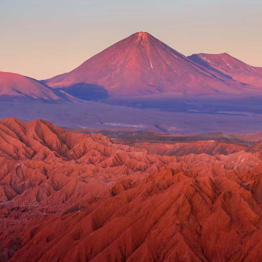 driest desert in the world experiences occasionally bloom