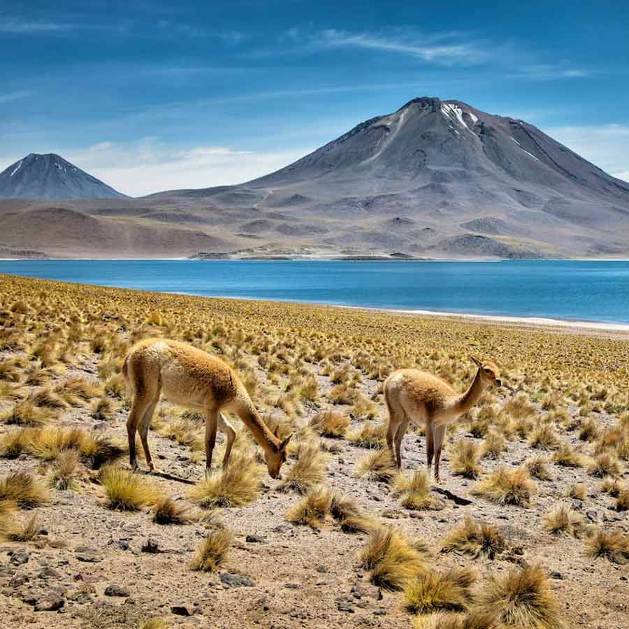 Atacama Desert