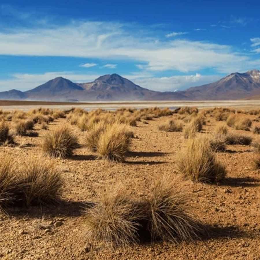 Atacama Desert