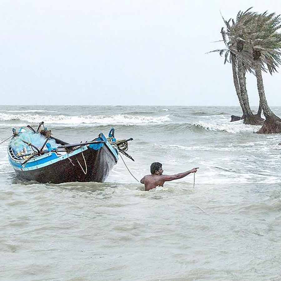 Skilled people have many problems