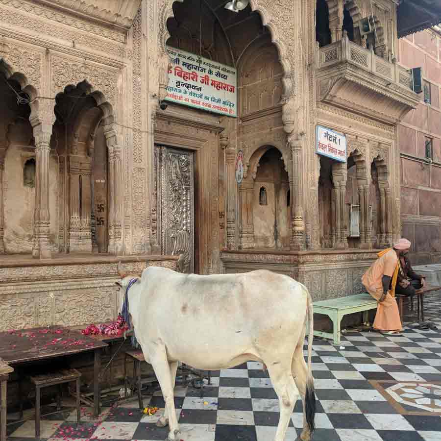 All need to know about Banke Bihari Temple and current controversy related to trustee