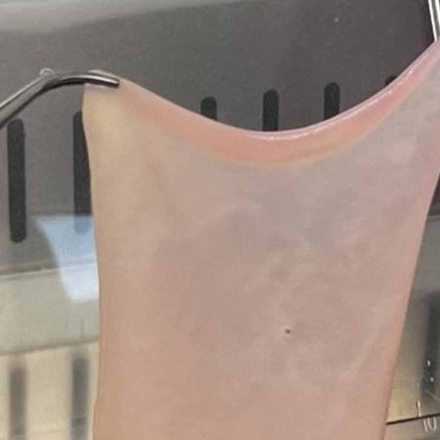 কৃত্রিম চামড়া তৈরি করেছেন বিজ্ঞানীরা।