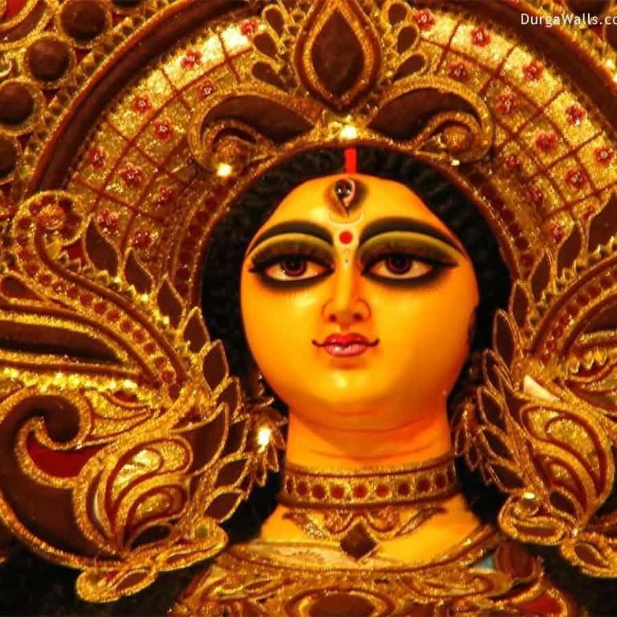ডুয়ার্সের দুর্গাপুজো: ডুয়ার্স মূলত চা বাগান এবং বনের জন্য বিখ্যাত। এখানকার দুর্গাপুজো সাধারণত চা বাগানের শ্রমিকদের উদ্যোগে এবং বিভিন্ন ক্লাবের তত্ত্বাবধানে আয়োজিত হয়। ডুয়ার্সের পুজোয় থাকে প্রকৃতির এক স্নিগ্ধ ছোঁয়া। রইল এই এলাকার কয়েকটি বড় পুজোর হদিস।