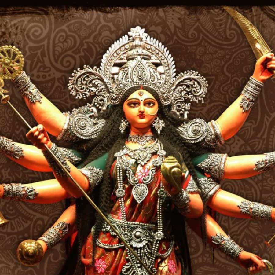 লাটাগুড়ি: এই বনভূমির কাছাকাছি এলাকাতেও কিছু বড় পুজো হয়ে থাকে। স্থানীয় বন দফতর এবং পর্যটন ব্যবসার সঙ্গে জড়িত মানুষ এর আয়োজন করেন। এখানকার পুজোয় স্থানীয় লোকনৃত্য এবং সাংস্কৃতিক অনুষ্ঠান আয়োজিত হয়।