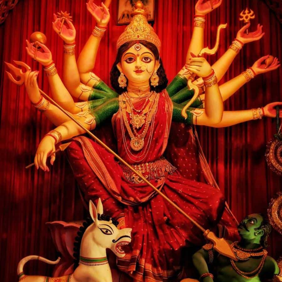 মালবাজার: ডুয়ার্সের মধ্যে মালবাজার অন্যতম গুরুত্বপূর্ণ শহর। এখানে অনেকগুলি বড় পুজো হয়। মালবাজারের বিভিন্ন ক্লাব তাদের থিম এবং মণ্ডপ সজ্জার জন্য পরিচিত। এখানে পুজোর সময়ে প্রচুর লোক সমাগম হয়।