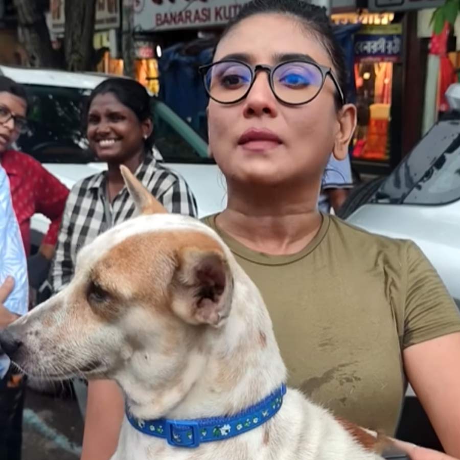 Bengali actress Debolina Dutta Reaction after supreme court modify on stray dog verdict dgtl