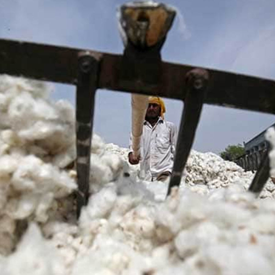 Cotton Import Duty