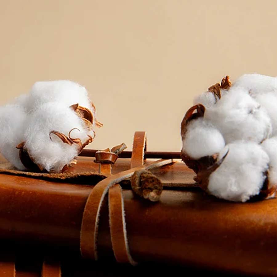 Cotton Import Duty