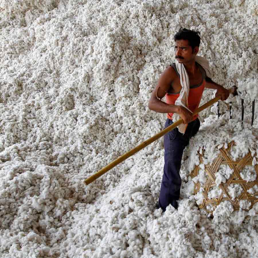 Cotton Import Duty