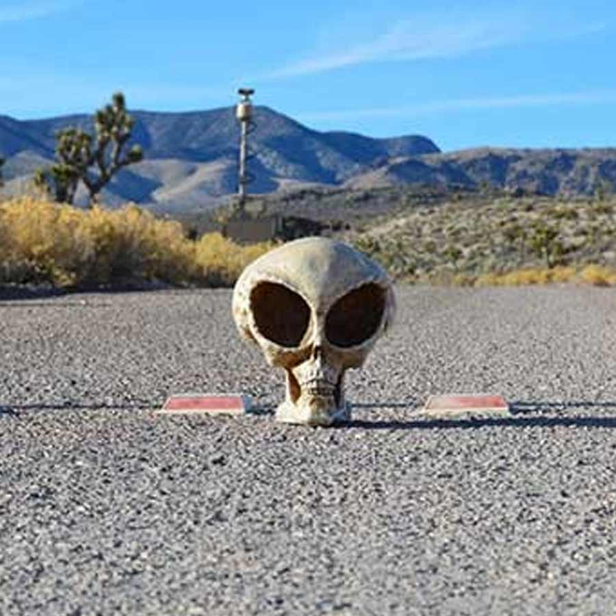  All need to know about Mysterious US Air Force Jet RAT55 and speculation after it spotted Over Area 51