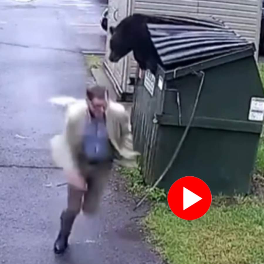 Video of school principal got scared when bear jumping out from dumpster in West Virginia dgtl