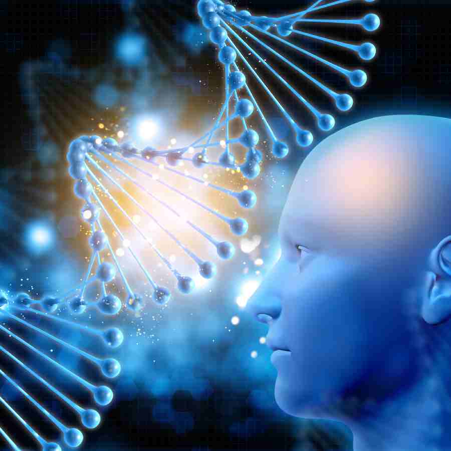 Researchers at UC San Francisco have uncovered a protein that cause Brain Ageing