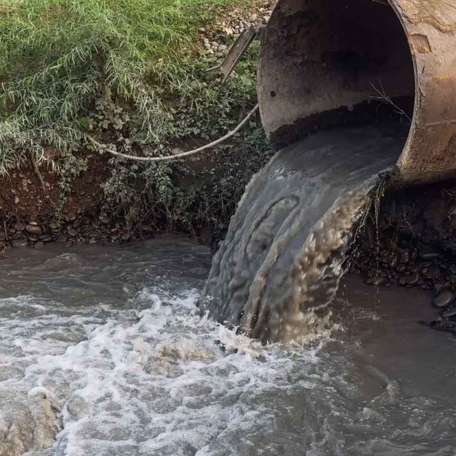 Karnataka government plans for rejuvenation of ghost river Arkavathi, main water source of Bengaluru