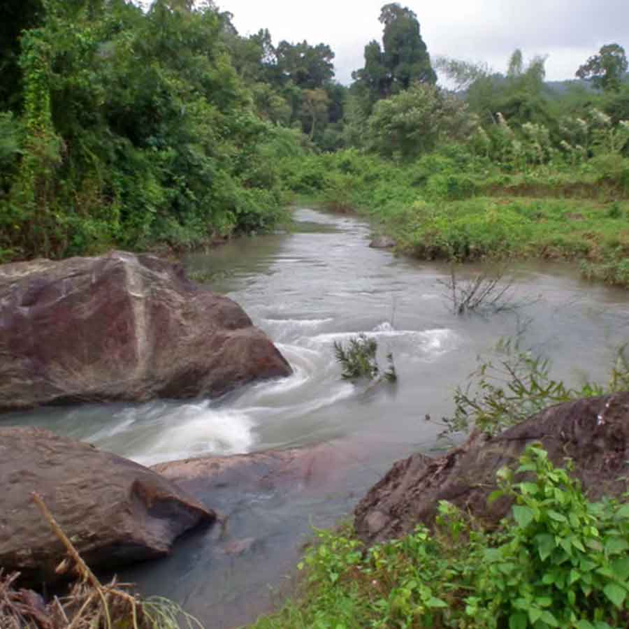 Karnataka government plans for rejuvenation of ghost river Arkavathi, main water source of Bengaluru