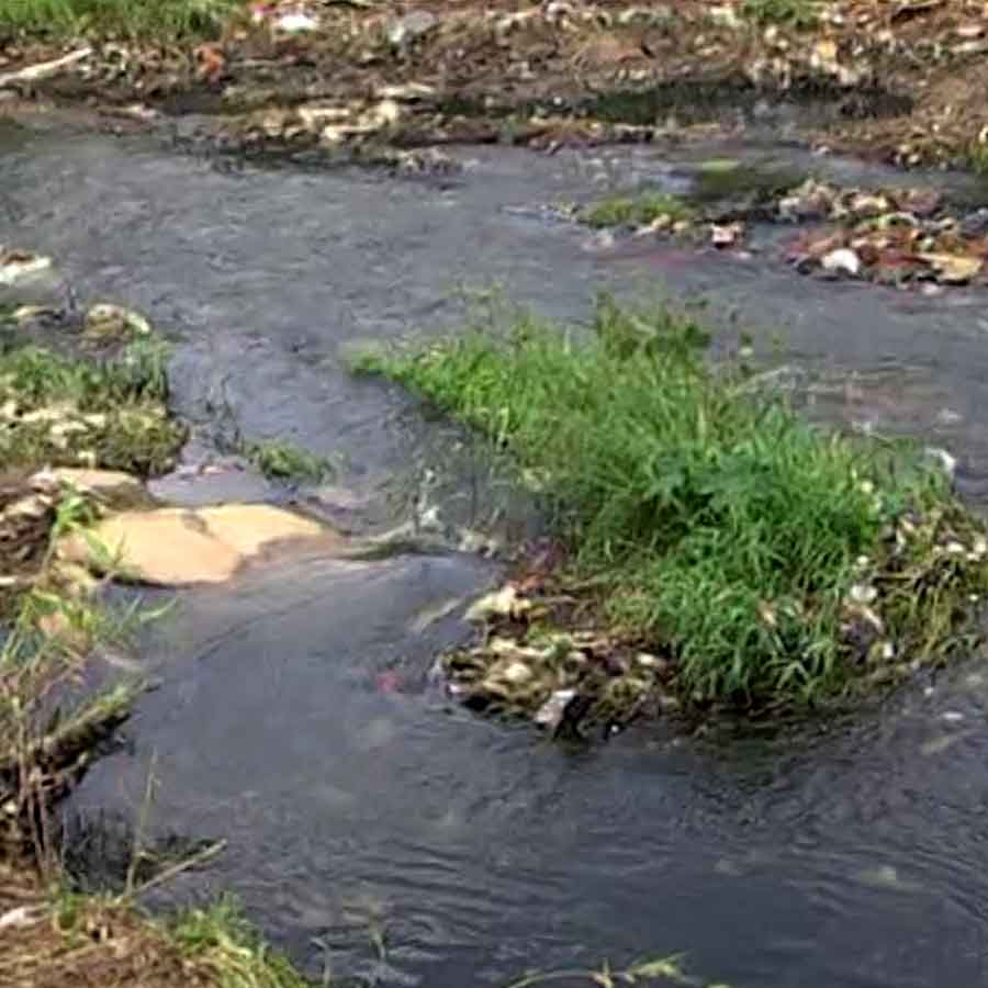 Karnataka government plans for rejuvenation of ghost river Arkavathi, main water source of Bengaluru