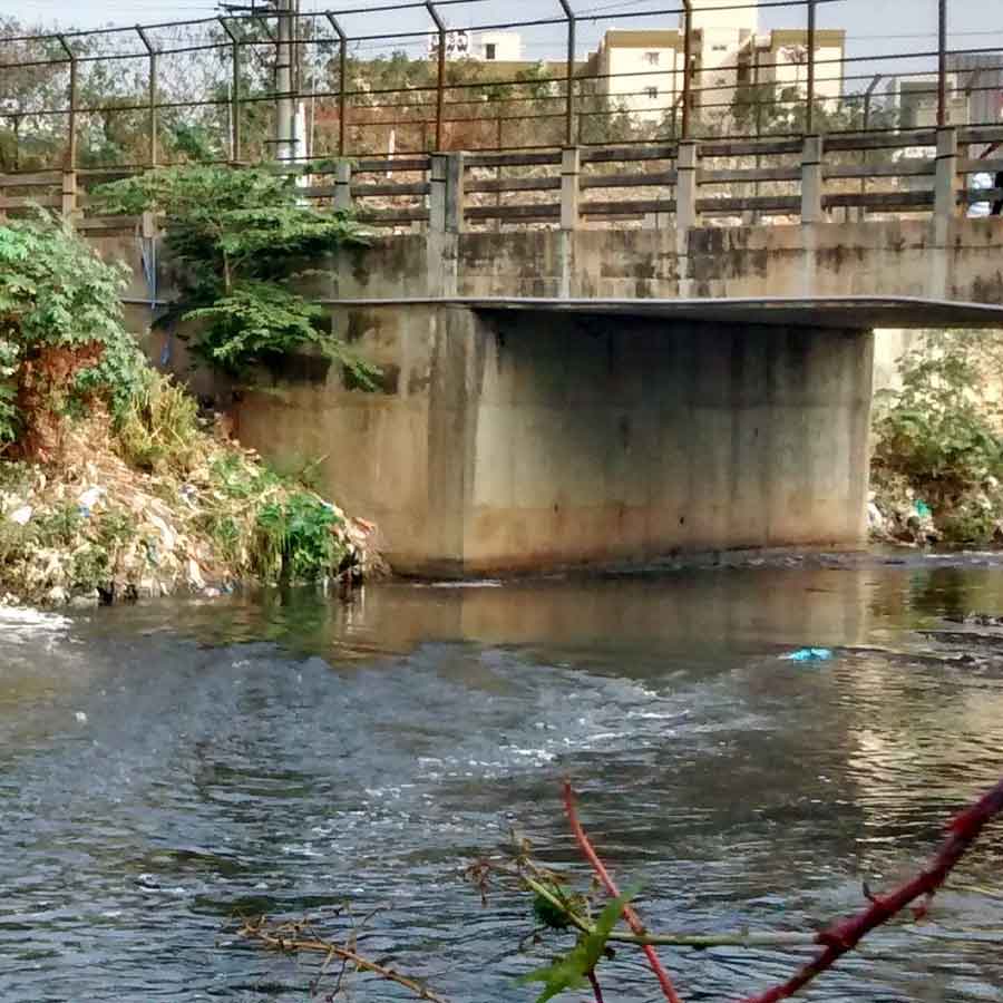 Karnataka government plans for rejuvenation of ghost river Arkavathi, main water source of Bengaluru