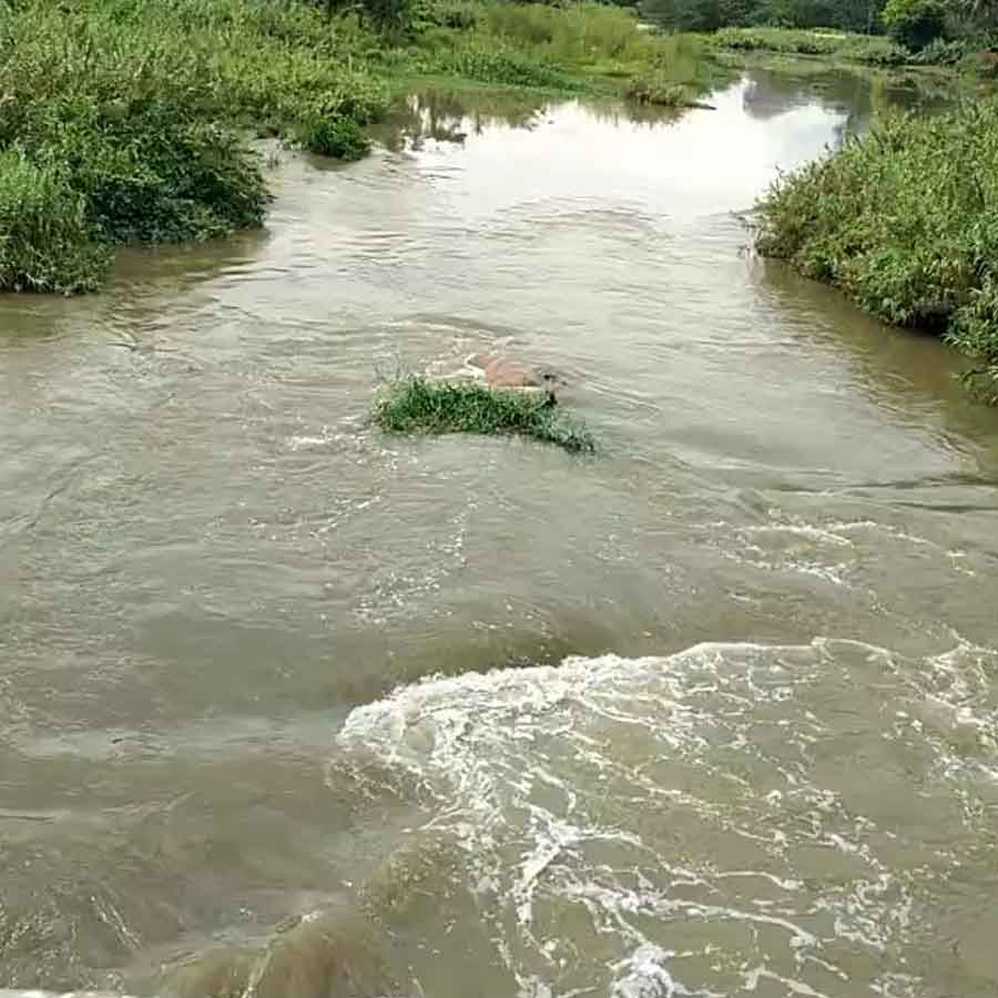 Karnataka government plans for rejuvenation of ghost river Arkavathi, main water source of Bengaluru