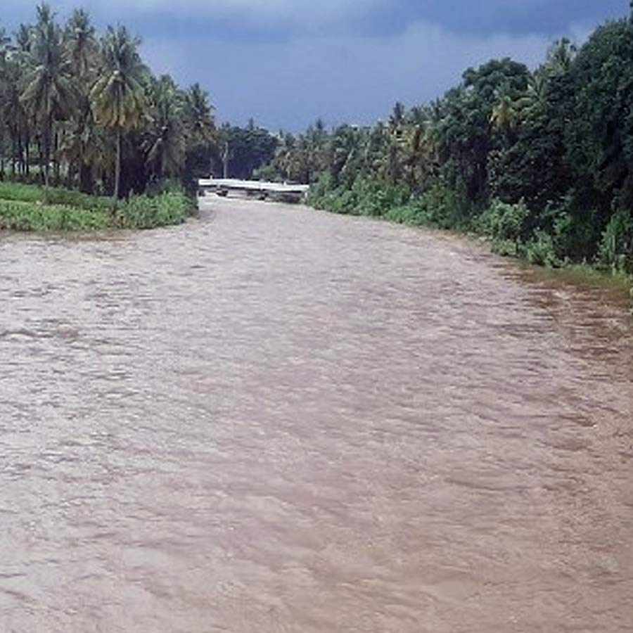 Karnataka government plans for rejuvenation of ghost river Arkavathi, main water source of Bengaluru