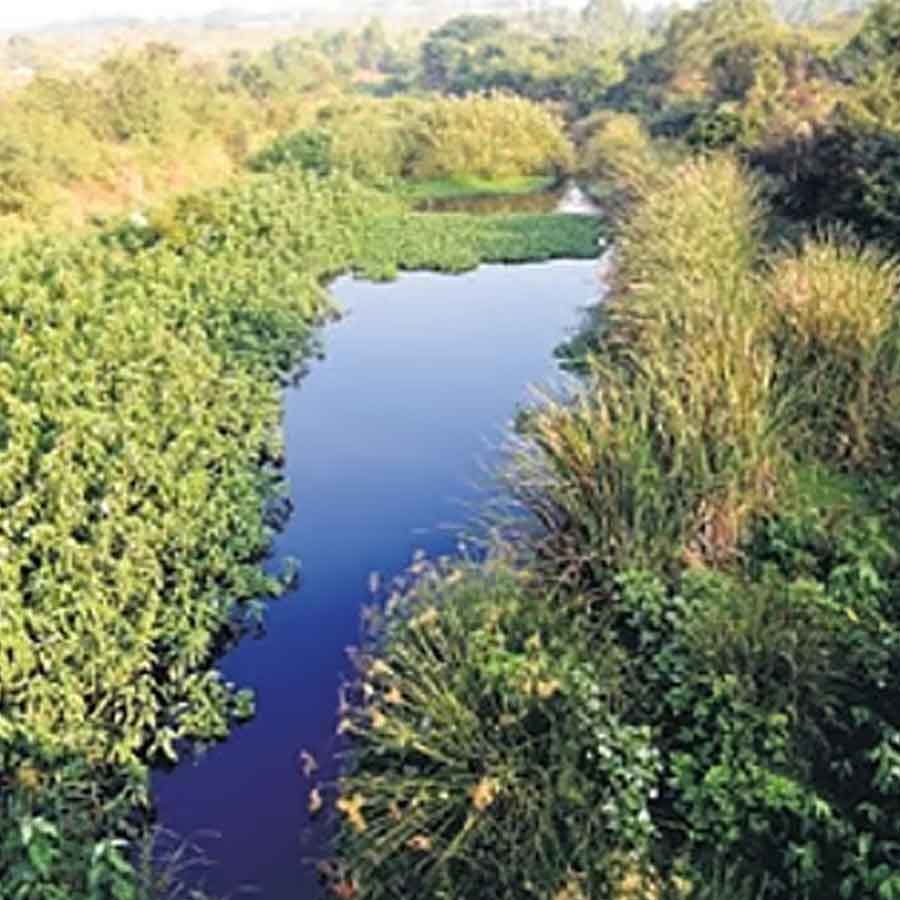 Karnataka government plans for rejuvenation of ghost river Arkavathi, main water source of Bengaluru