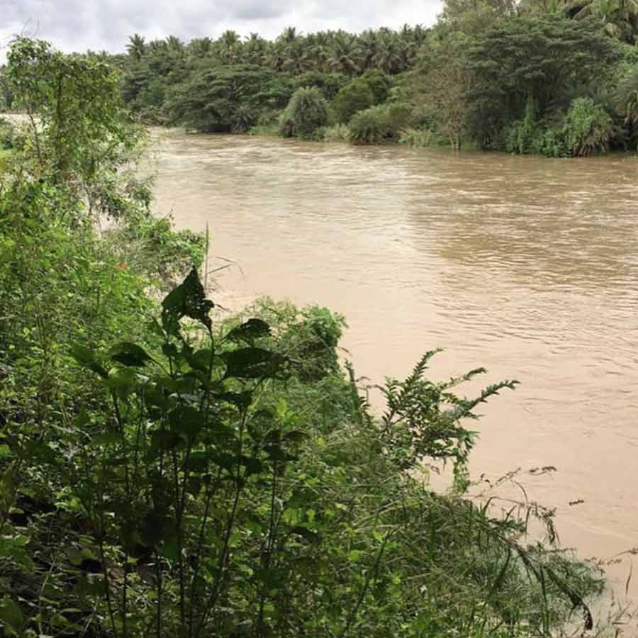 Karnataka government plans for rejuvenation of ghost river Arkavathi, main water source of Bengaluru
