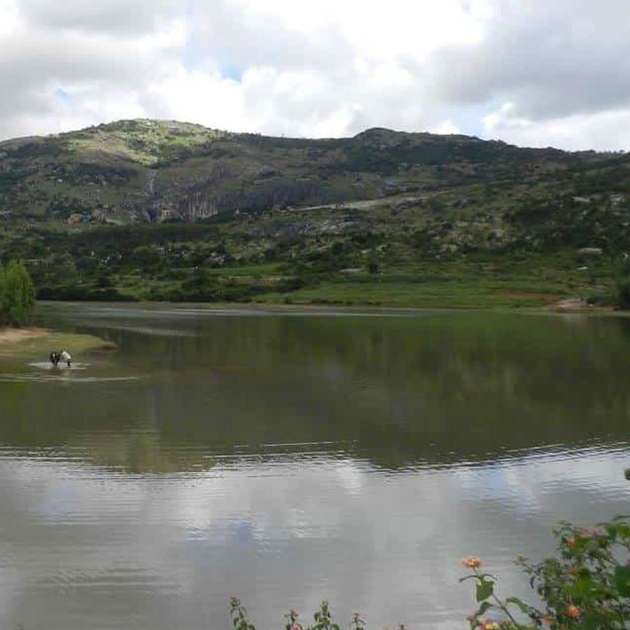 Karnataka government plans for rejuvenation of ghost river Arkavathi, main water source of Bengaluru