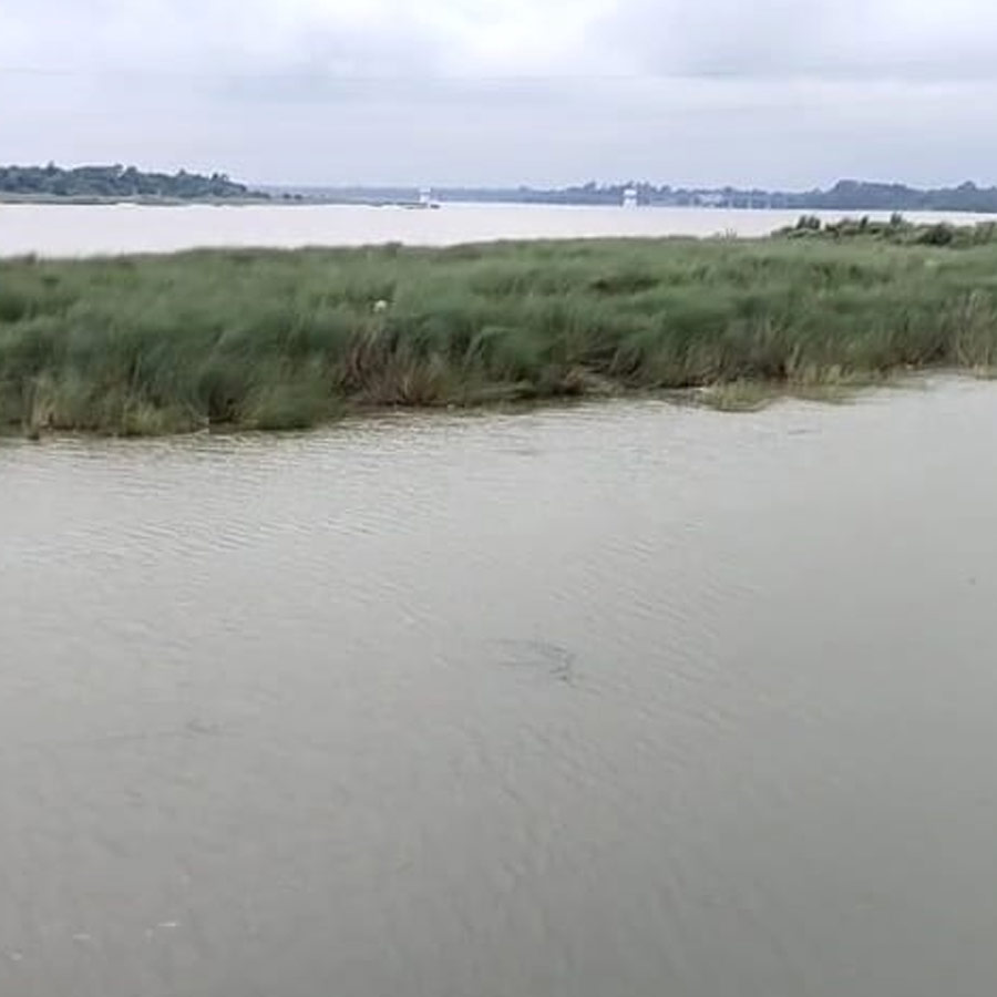 Body of woman recovered from bank of Damodar in Bankura dgtld