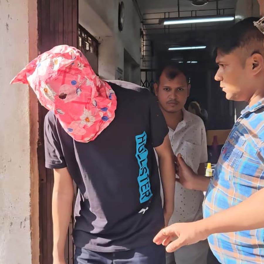 BSF apprehends one in Basirhat while attempting infiltration to India dgtld