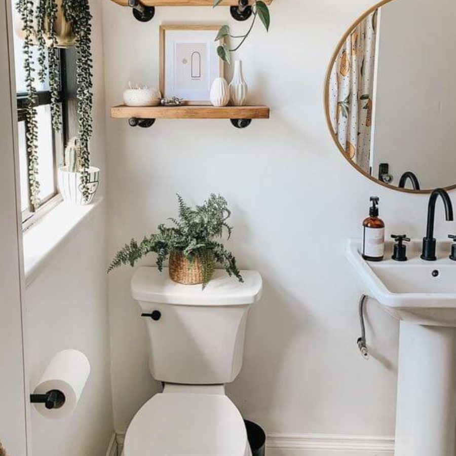 ছবি: সংগৃহীত।