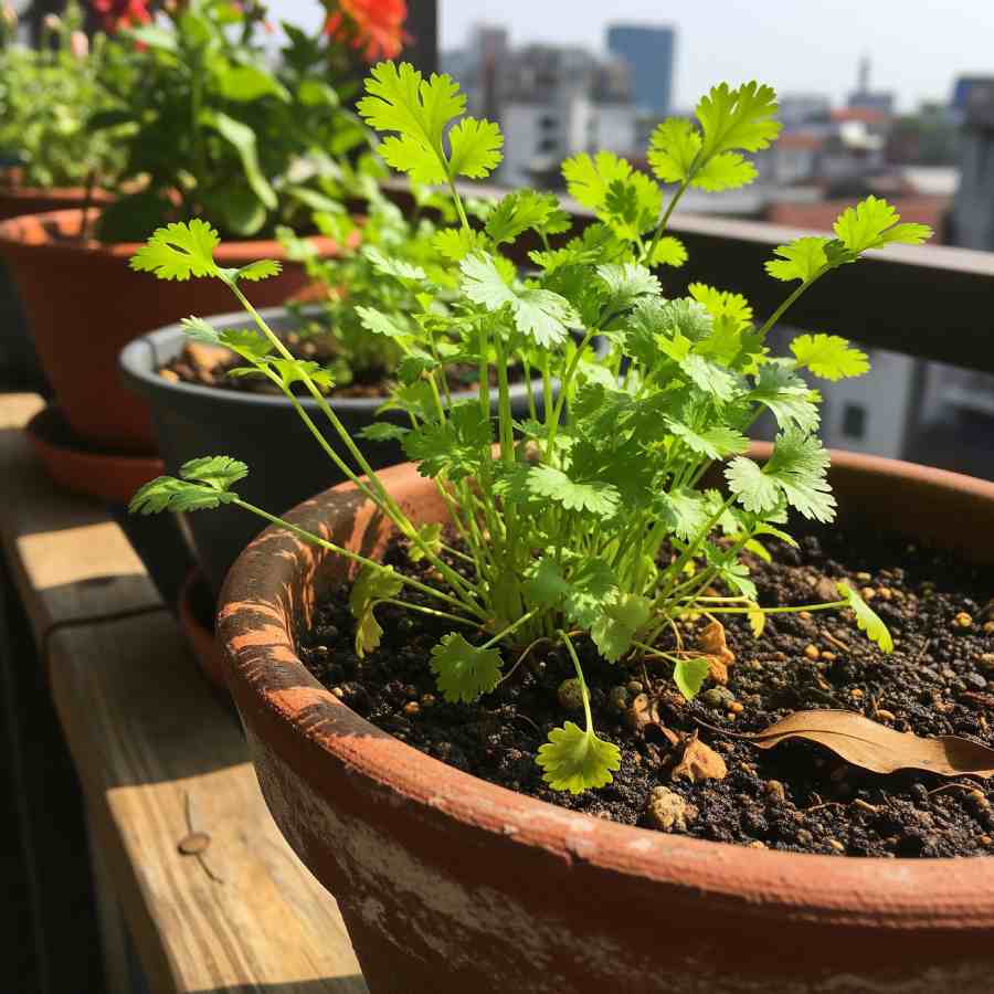 ছবি: সংগৃহীত।